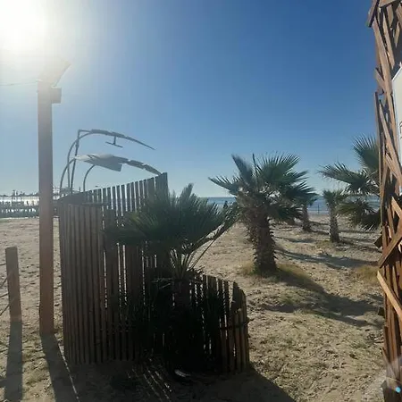 Daily A15 Durres